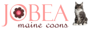 Jobea Maine Coons Logo